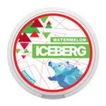 ICEBERG WATERMELON MEDIUM