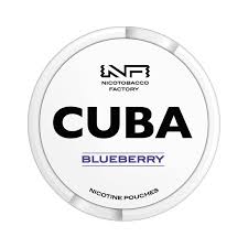 CUBA BLUEBERRY MEDIUM