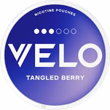 VELO TANGLED BERRY