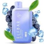 ELF BAR BLUEBERRY ICE